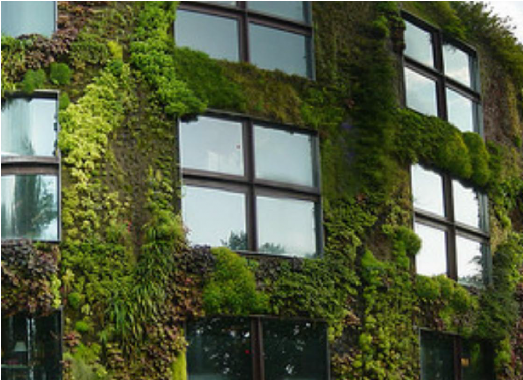 Fachadas verdes, green walls