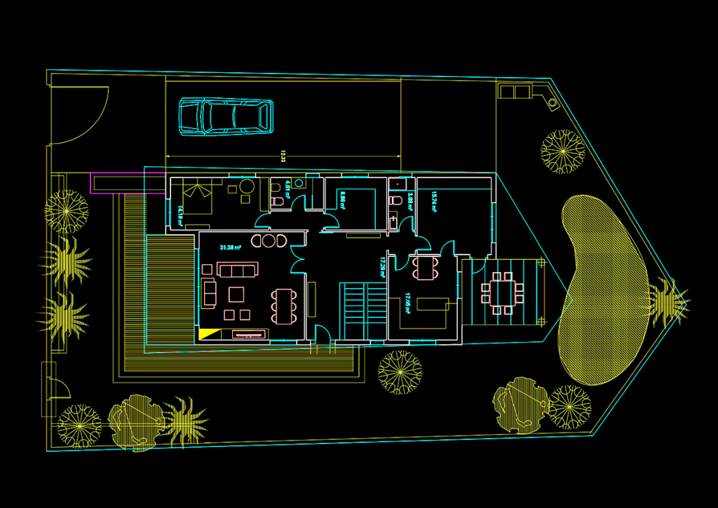paco-miñarro-plantas